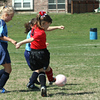 hbintexas > Ladybugs - April 5, 2008 photo